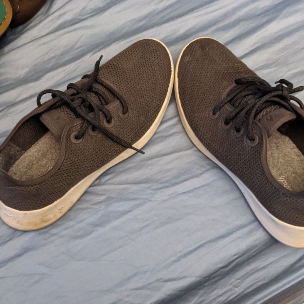AllBirds-Tree Runners!